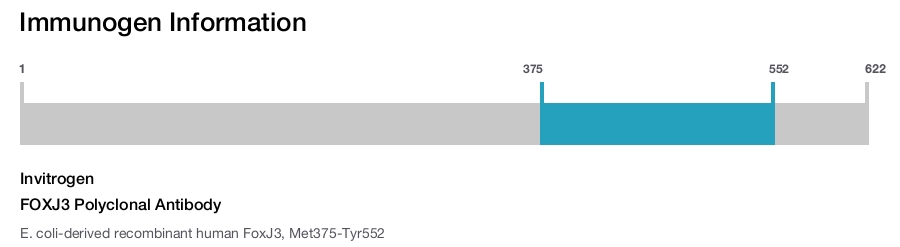 FOXJ3 Polyclonal Antibody