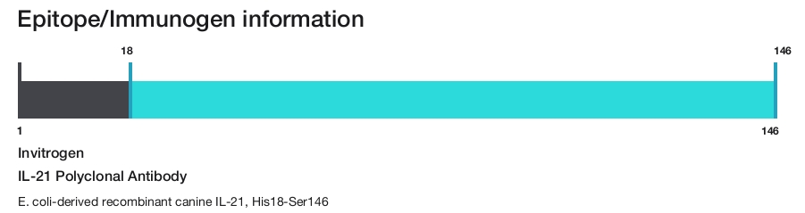 IL-21 Polyclonal Antibody