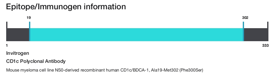CD1c Polyclonal Antibody