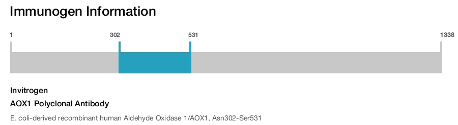 AOX1 Polyclonal Antibody