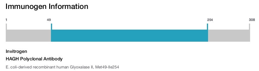 HAGH Polyclonal Antibody