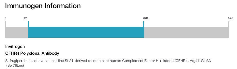 CFHR4 Polyclonal Antibody