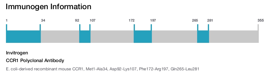 CCR1 Polyclonal Antibody