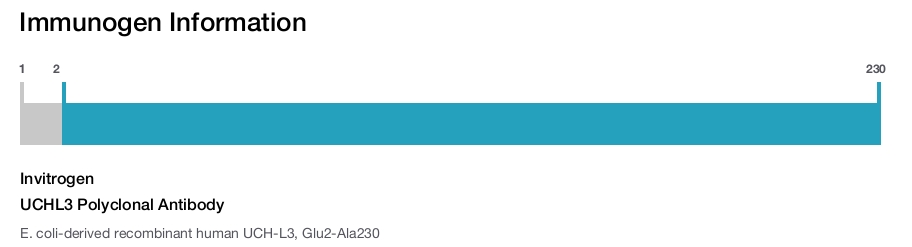 UCHL3 Polyclonal Antibody