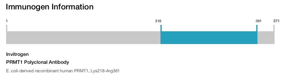 PRMT1 Polyclonal Antibody