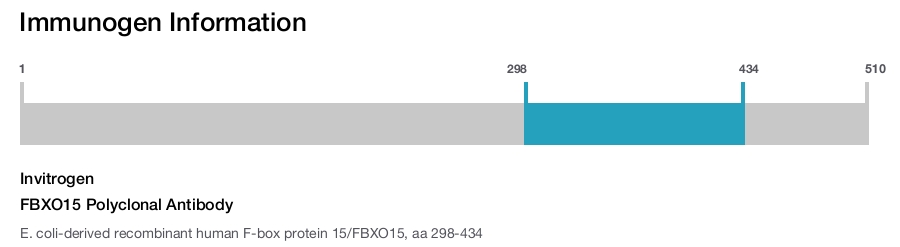 FBXO15 Polyclonal Antibody