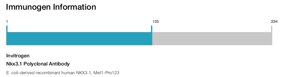 Nkx3.1 Polyclonal Antibody