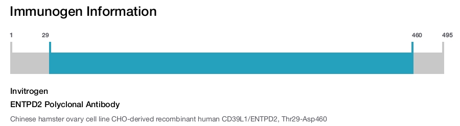 ENTPD2 Polyclonal Antibody