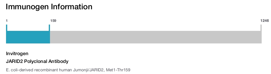 JARID2 Polyclonal Antibody