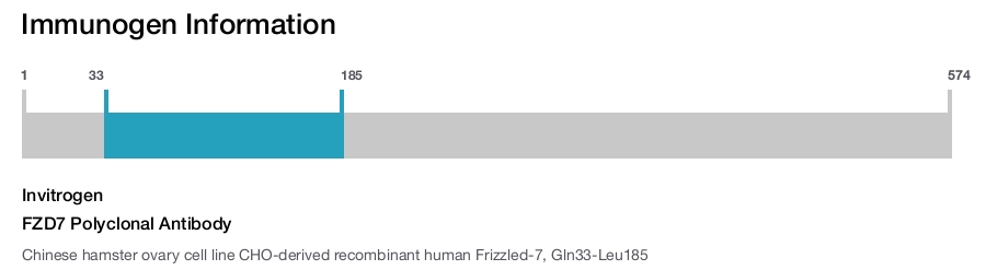 FZD7 Polyclonal Antibody