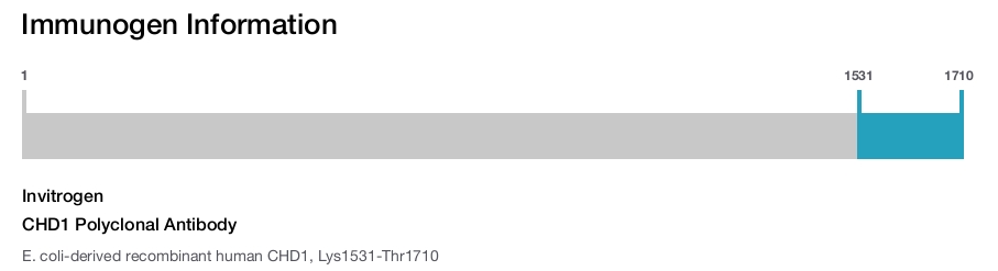 CHD1 Polyclonal Antibody