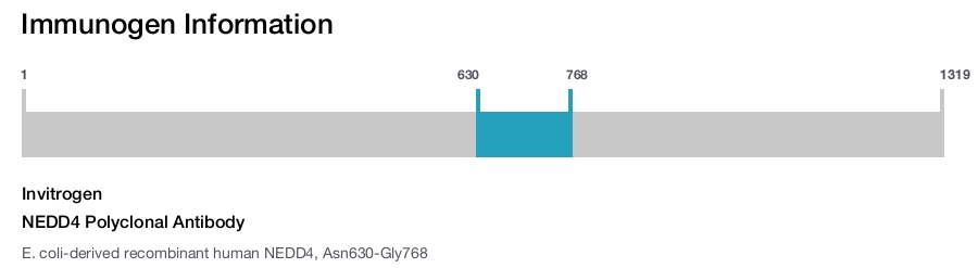 NEDD4 Polyclonal Antibody