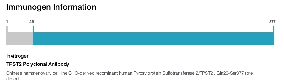 TPST2 Polyclonal Antibody