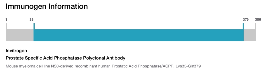 Prostate Specific Acid Phosphatase Polyclonal Antibody