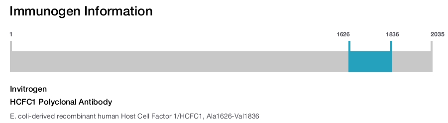 HCFC1 Polyclonal Antibody