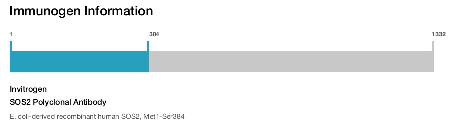 SOS2 Polyclonal Antibody