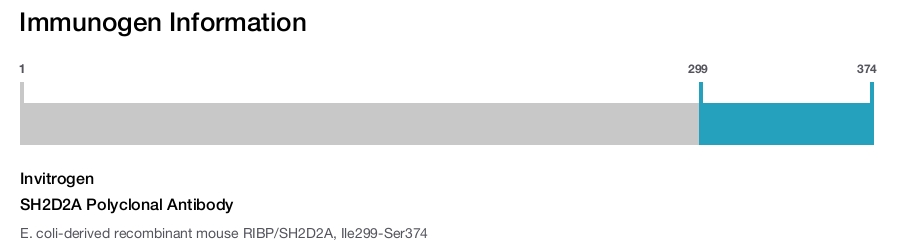 SH2D2A Polyclonal Antibody