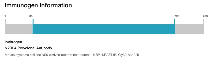 N2DL4 Polyclonal Antibody