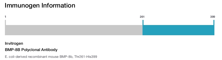 BMP-8B Polyclonal Antibody