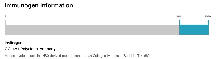 COL4A1 Polyclonal Antibody
