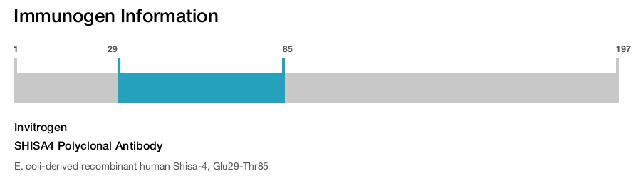 SHISA4 Polyclonal Antibody