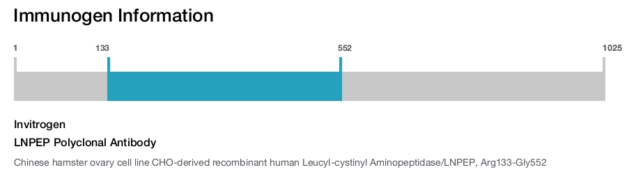LNPEP Polyclonal Antibody