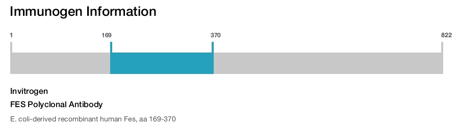 FES Polyclonal Antibody