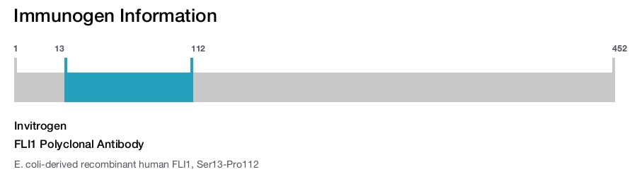 FLI1 Polyclonal Antibody