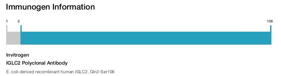 IGLC2 Polyclonal Antibody