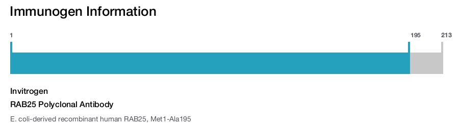 RAB25 Polyclonal Antibody