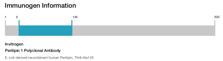 Perilipin 1 Polyclonal Antibody