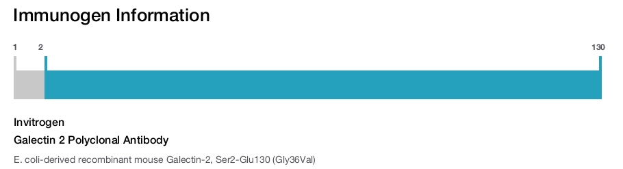 Galectin 2 Polyclonal Antibody