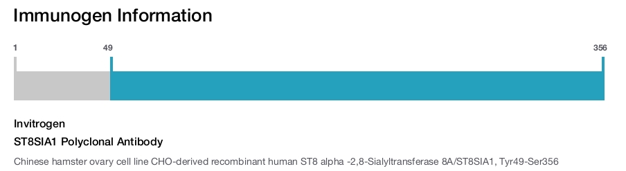 ST8SIA1 Polyclonal Antibody