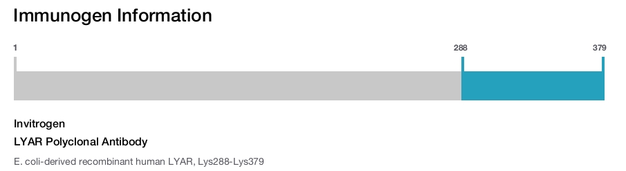 LYAR Polyclonal Antibody