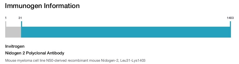 Nidogen 2 Polyclonal Antibody