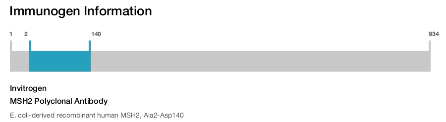 MSH2 Polyclonal Antibody