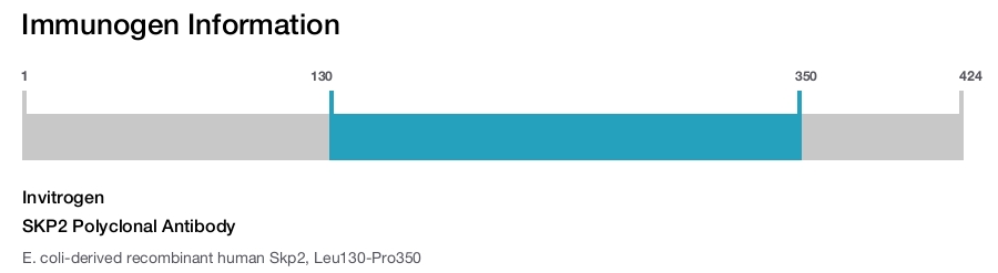 SKP2 Polyclonal Antibody