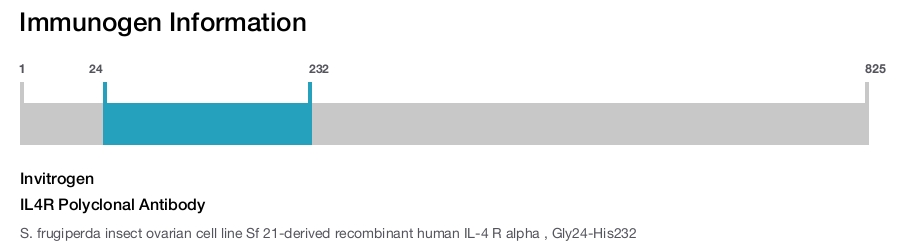 IL4R Polyclonal Antibody