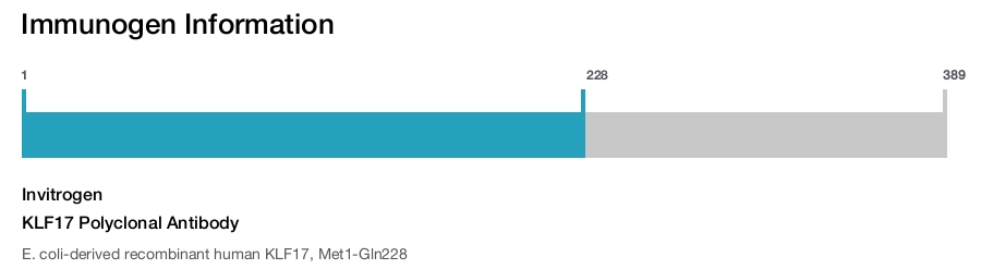 KLF17 Polyclonal Antibody