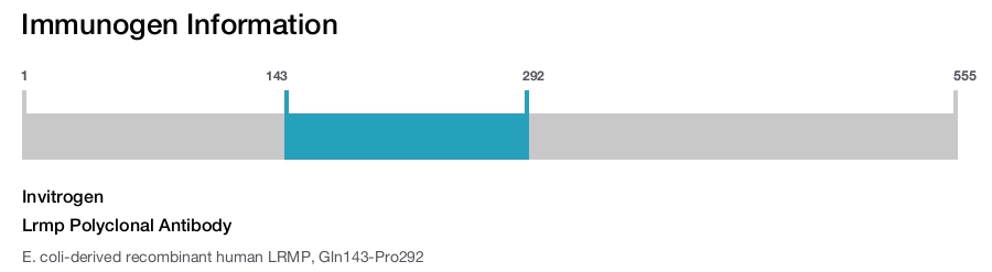 Lrmp Polyclonal Antibody