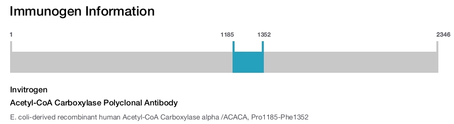 Acetyl-CoA Carboxylase Polyclonal Antibody