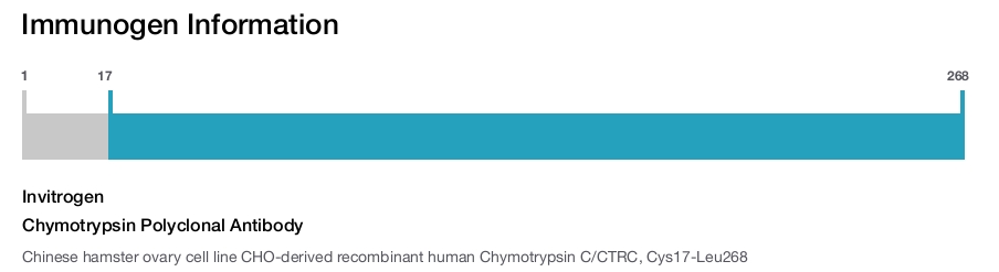 Chymotrypsin Polyclonal Antibody