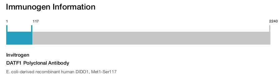 DATF1 Polyclonal Antibody