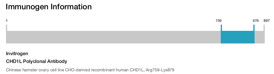 CHD1L Polyclonal Antibody