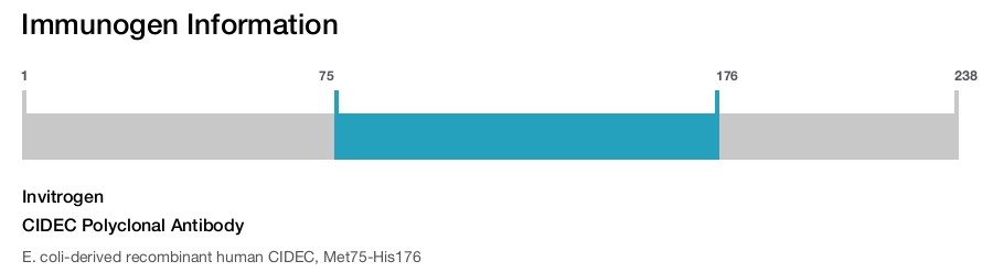 CIDEC Polyclonal Antibody