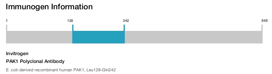 PAK1 Polyclonal Antibody