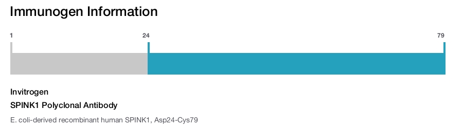 SPINK1 Polyclonal Antibody
