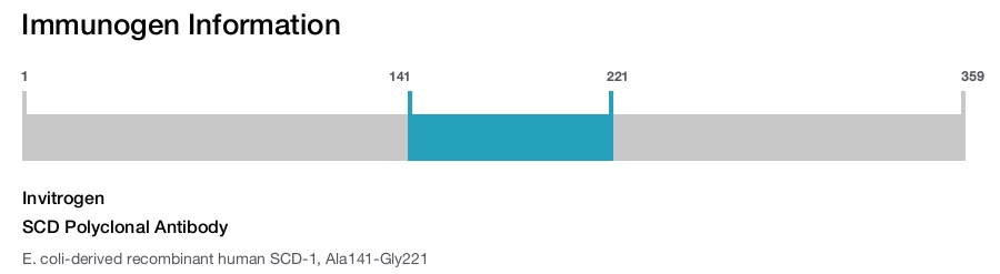 SCD Polyclonal Antibody