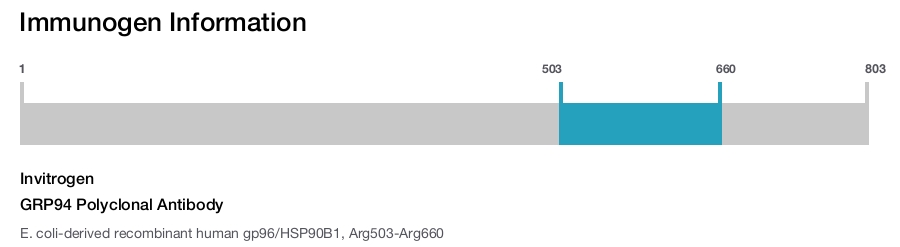 GRP94 Polyclonal Antibody