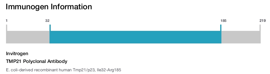 TMP21 Polyclonal Antibody